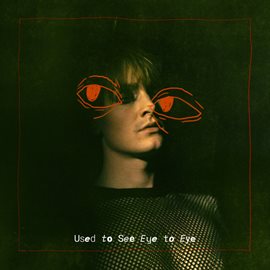 Cover image for Used to see eye to eye