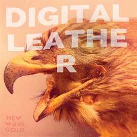 Imagen de portada para New Wave Gold
