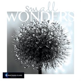 Cover image for Small Wonders