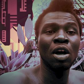 Cover image for Struggle