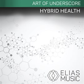 Cover image for Hybrid Health