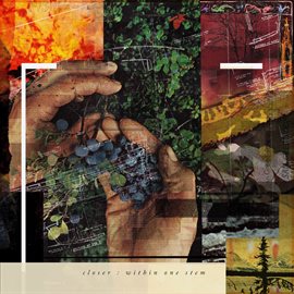 Cover image for Within One Stem