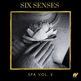 Imagen de portada para Six Senses: Spa Music, Vol. 2