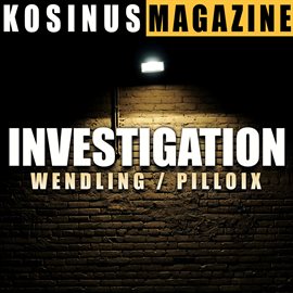 Cover image for Investigation