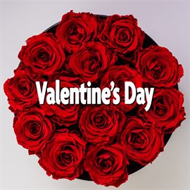 Imagen de portada para Valentine's Day