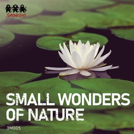 Cover image for Small Wonders of Nature