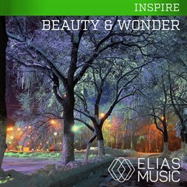 Cover image for Beauty And Wonder