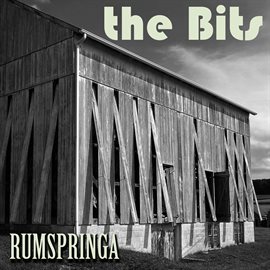 Cover image for Rumspringa