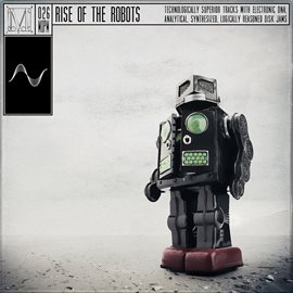 Cover image for Rise Of The Robots