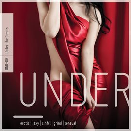 Cover image for Under the Covers