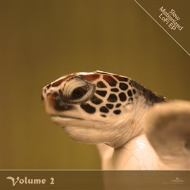 Imagen de portada para Slow Motionized LoFi, Vol. 2
