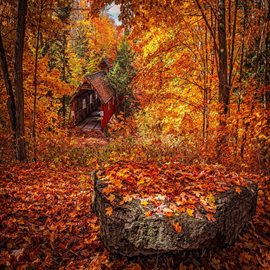 Imagen de portada para Autumn
