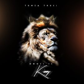 Cover image for Kgosi Is King
