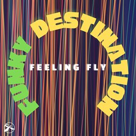 Cover image for Feeling Fly