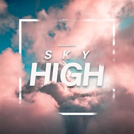 Cover image for Sky High