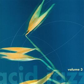 Cover image for Acid Jazz, Vol. 3