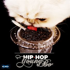 Cover image for Hip Hop - Young Bo
