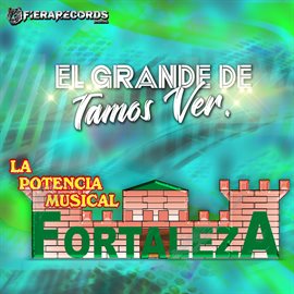 Cover image for El Grande De Tamos, Ver.