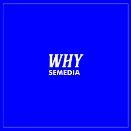 Cover image for Why