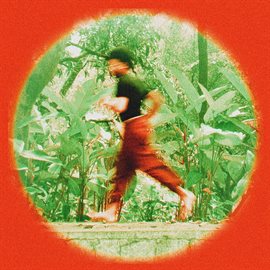 Imagen de portada para Regresso