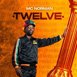 Cover image for Twelve