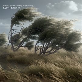 Cover image for Nature's Breath: Sooting Wind Sounds