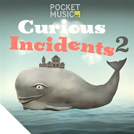 Cover image for Curious Incidents 2