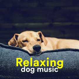 Cover image for Relaxing Dog Music - Calm Your Dog