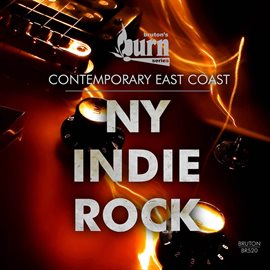 Imagen de portada para Burn Series: NY Indie Rock