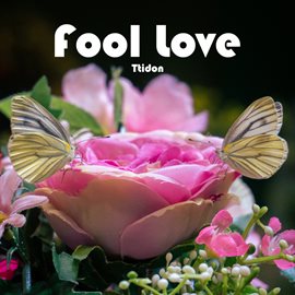Cover image for Fool Love