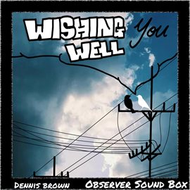 Cover image for Wishing You Well