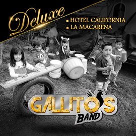 Imagen de portada para Gallitos Band