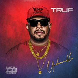 Cover image for Undeniable