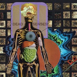 Imagen de portada para Dead Senses