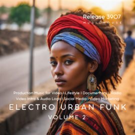 Cover image for Electro Urban Funk, Vol. 2