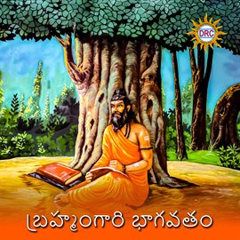 Cover image for Brahmam Gari Bhagavatam