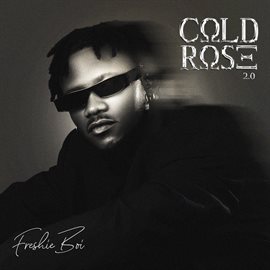 Cover image for Cold Rose, Vol. 2