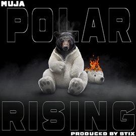 Cover image for Polar Rising
