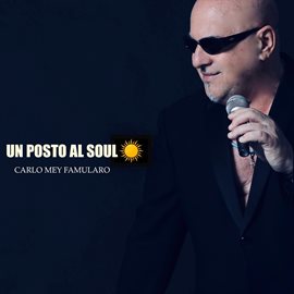 Cover image for UN POSTO AL SOUL