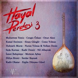 Imagen de portada para Hayal Perdesi 3