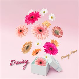 Cover image for Daisy