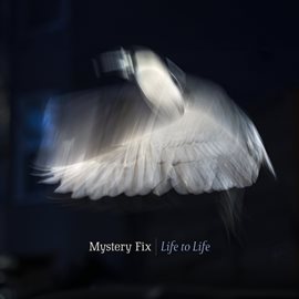 Cover image for Life to Life