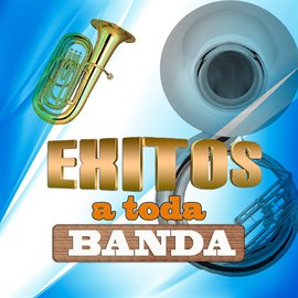 Cover image for Exitos a Toda Banda