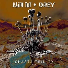 Cover image for Shasta Trinity