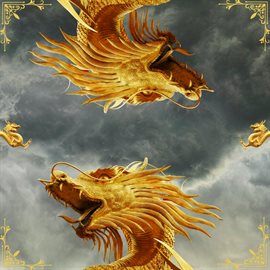 Imagen de portada para Dragon