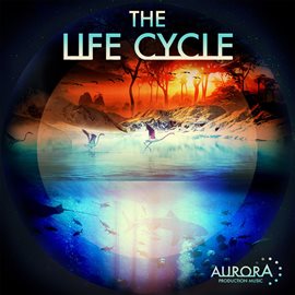 Cover image for The Life Cycle