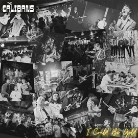 Imagen de portada para I Could Be Gold