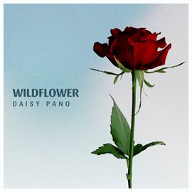 Cover image for Wildflower