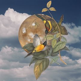 Cover image for Fear Of Silence