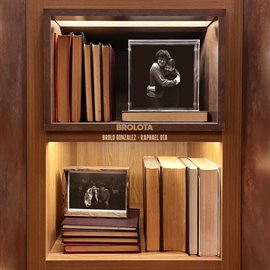 Cover image for Brolota